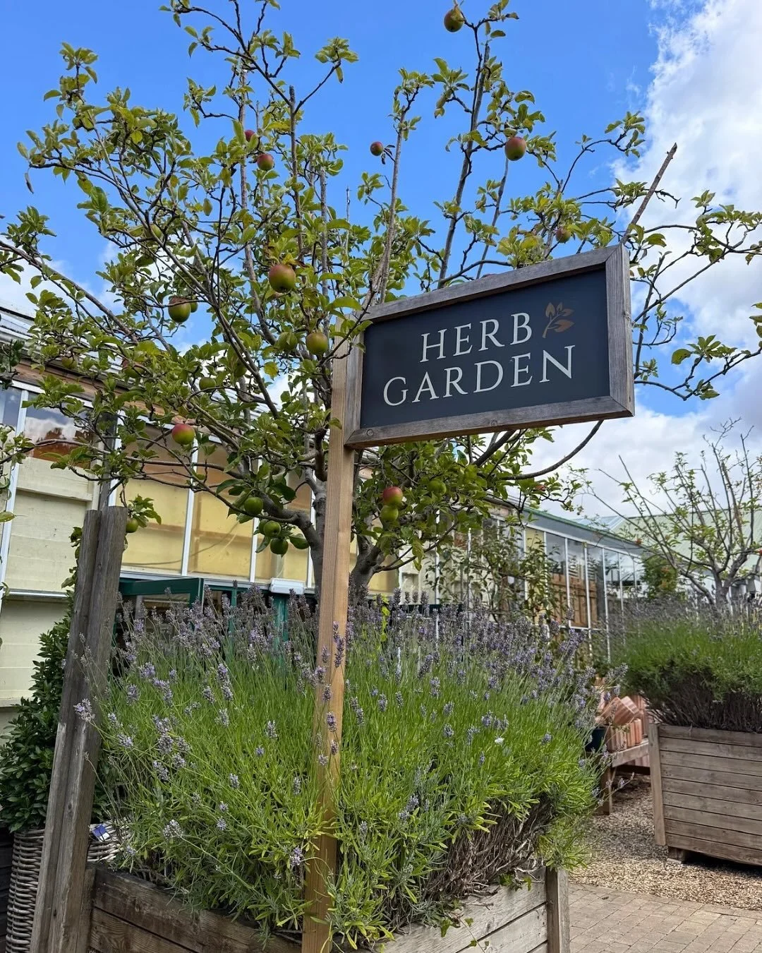 Beautiful morning at @burfordgarden, and particularly great to see their thoughtful approach to sustainable gardening. 

One highlight was the peat-free herb selection from @thehairypotplantcompany, which smelled incredible, and are grown and sold wi