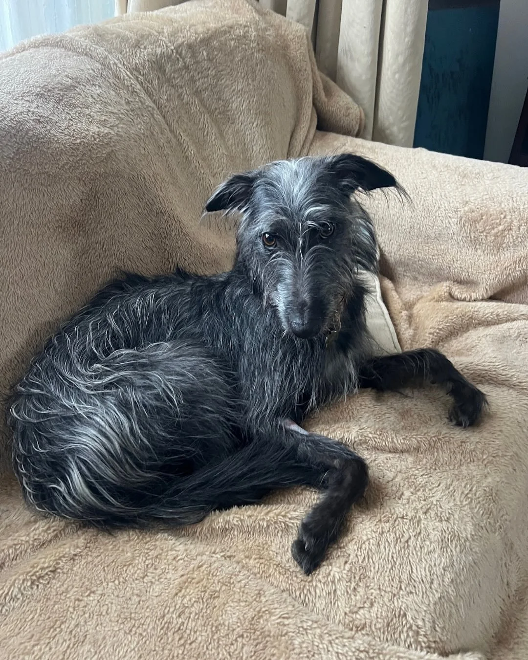 In honour of #InternationalDogDay we had to dedicate a post to our favourite four-legged friend, Monty.

He&rsquo;s the studio&rsquo;s personality hire, never misses a lunch meeting, and is the only employee who gets away with sleeping on the job.

U