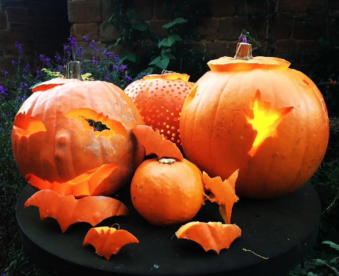 🎃 We always loved the RHS Autumn Show which sadly isn&rsquo;t happening in London anymore as it was always such a wonderful celebration of the season&rsquo;s beauty. 

Keep scrolling, we couldn&rsquo;t resist sharing this incredible specimen&hellip;