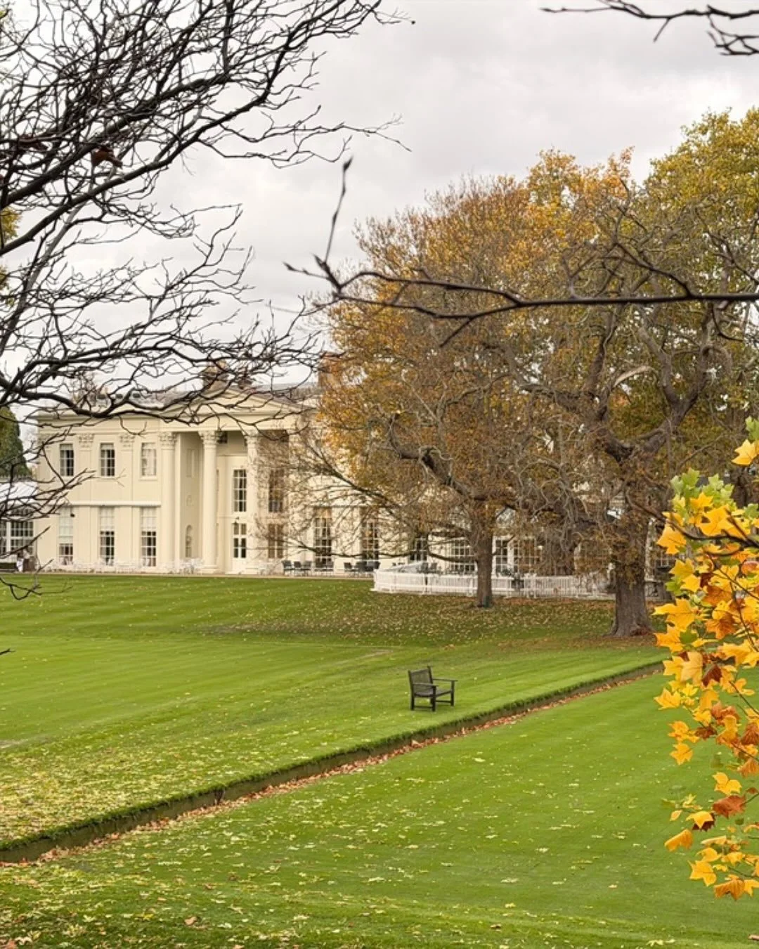 Sharing with you the Barcham Trees on Tour at the Hurlingham club. Fascinating (if a little alarming!) talk on pests and diseases, followed by a tour of the immaculate&nbsp;grounds and some magnificent specimen trees across it&rsquo;s 40-acres, inclu