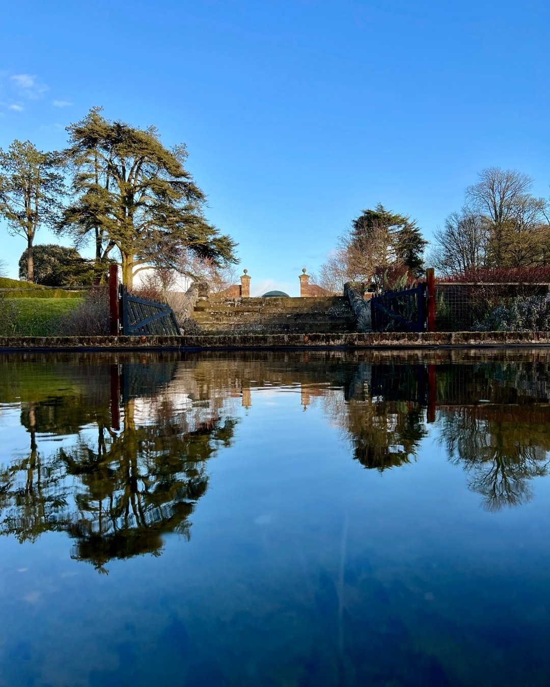 This was the swimming pool I learnt to swim in at eight years old now quietly transformed into a pond. Just 100 metres up the hill on the left was my very first garden.

Looking back, I&rsquo;m certain my love of gardens began somewhere here. I remem