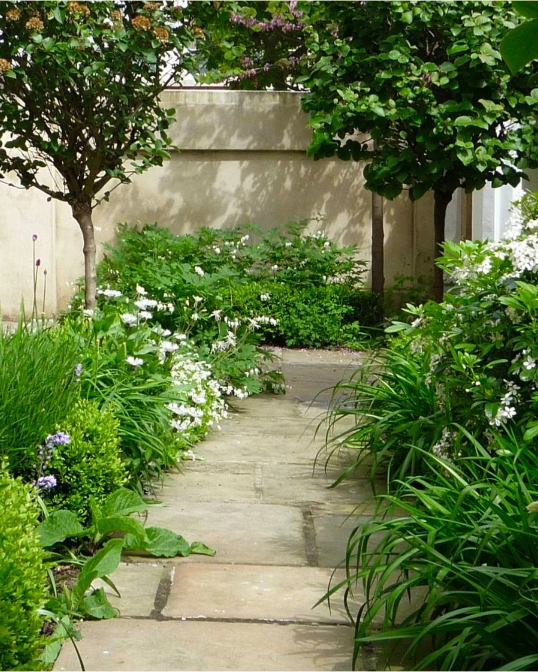 I often think a front garden sets the tone for everything that follows. Even in a small London space, a garden can invite you in, soften the transition from street to home, and create an immediate sense of calm. Here, the path is framed by generous p