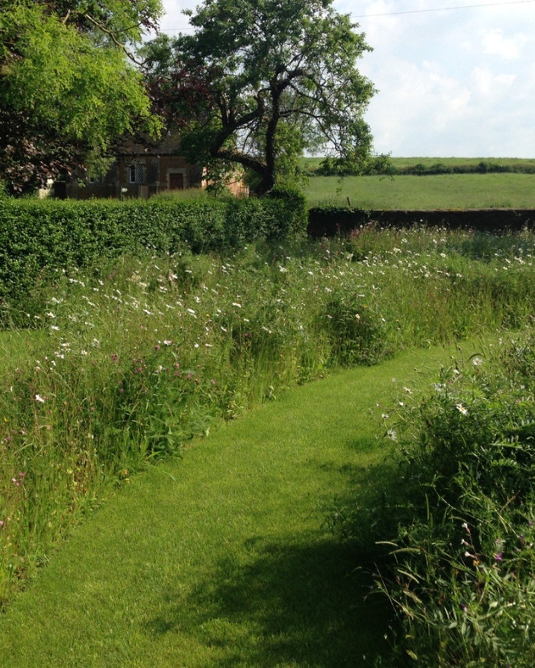This wildflower meadow sits at the garden&rsquo;s edge, creating a gentle transition into the countryside beyond. Rather than a firm boundary, it allows garden and landscape to merge visually and ecologically.

Meadows bring movement, seasonality and