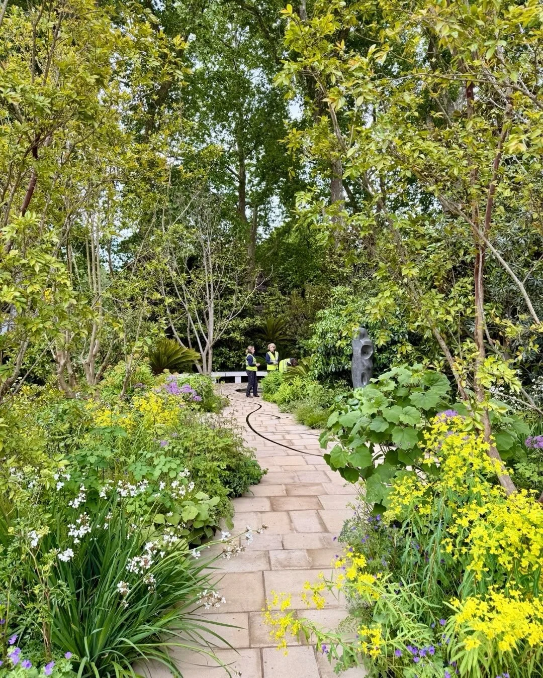 Wow, what a year for Chelsea!

Experiencing the gardens in the stillness of the early morning, just before the show opened, gave a real appreciation for the extraordinary thought, planting and craftsmanship behind this year&rsquo;s designs. From Tom 