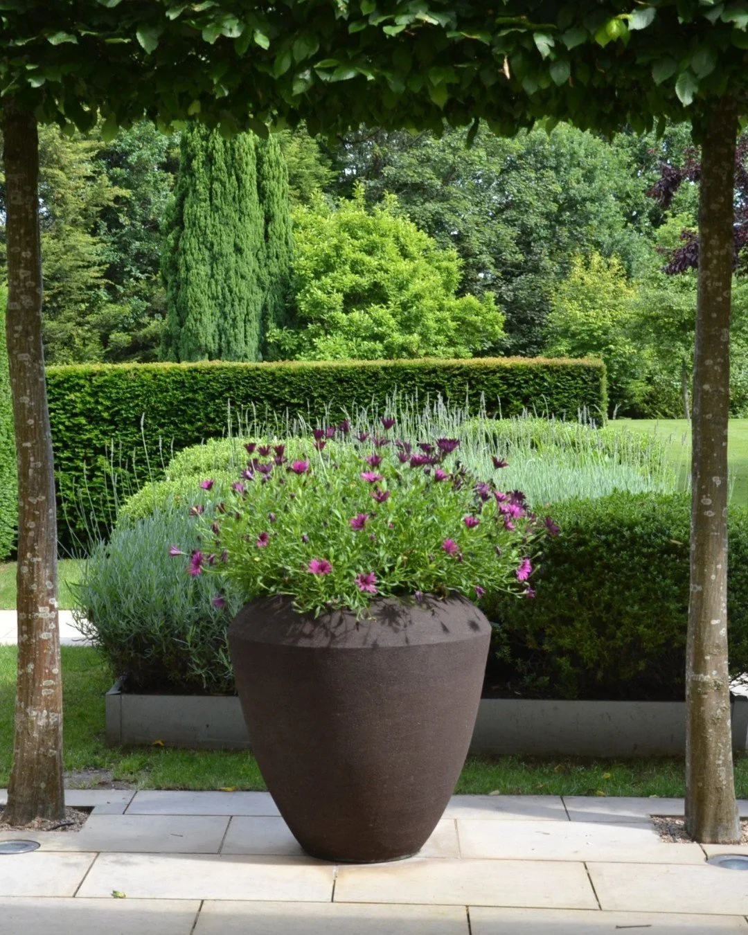 Different views, framed by the same beautiful trees. We chose these trees to help create a natural canopy, carving out a space that feels sheltered, private and rather romantic. But I also love the way they create little windows through the garden fr
