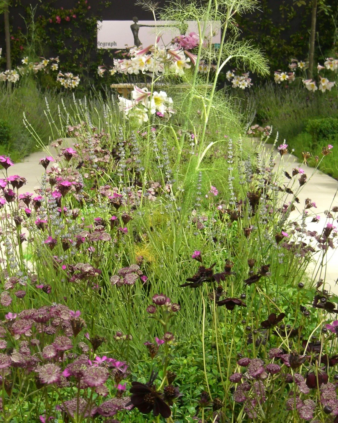 What elements do you need to incorporate to make a show garden, or any garden, sing?

For me, it&rsquo;s about creating a garden that draws you in and makes you want to explore. Layers of repeated planting give the garden rhythm, while smaller plants