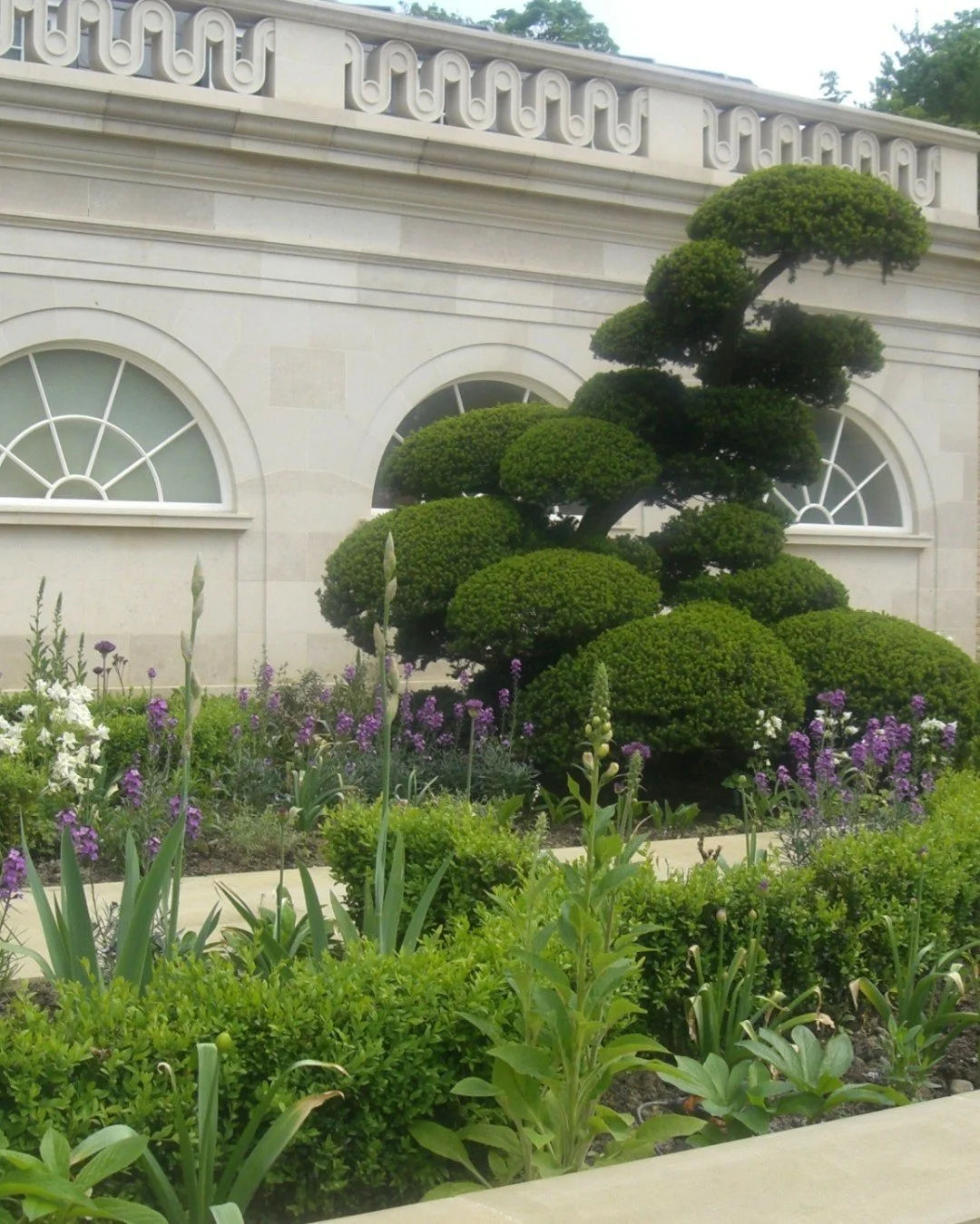 Incorporating topiary into a garden is always a huge delight. In this project we wanted  to create spheres that climbed on top of each other like clouds in order to contrast the straight lines of the paving and cornicing on the house whilst also emul