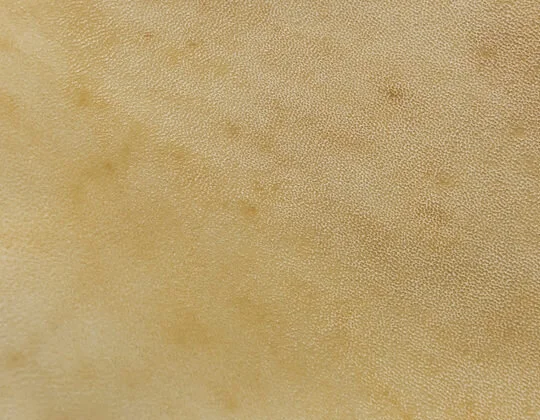 artworks_parchment.jpg