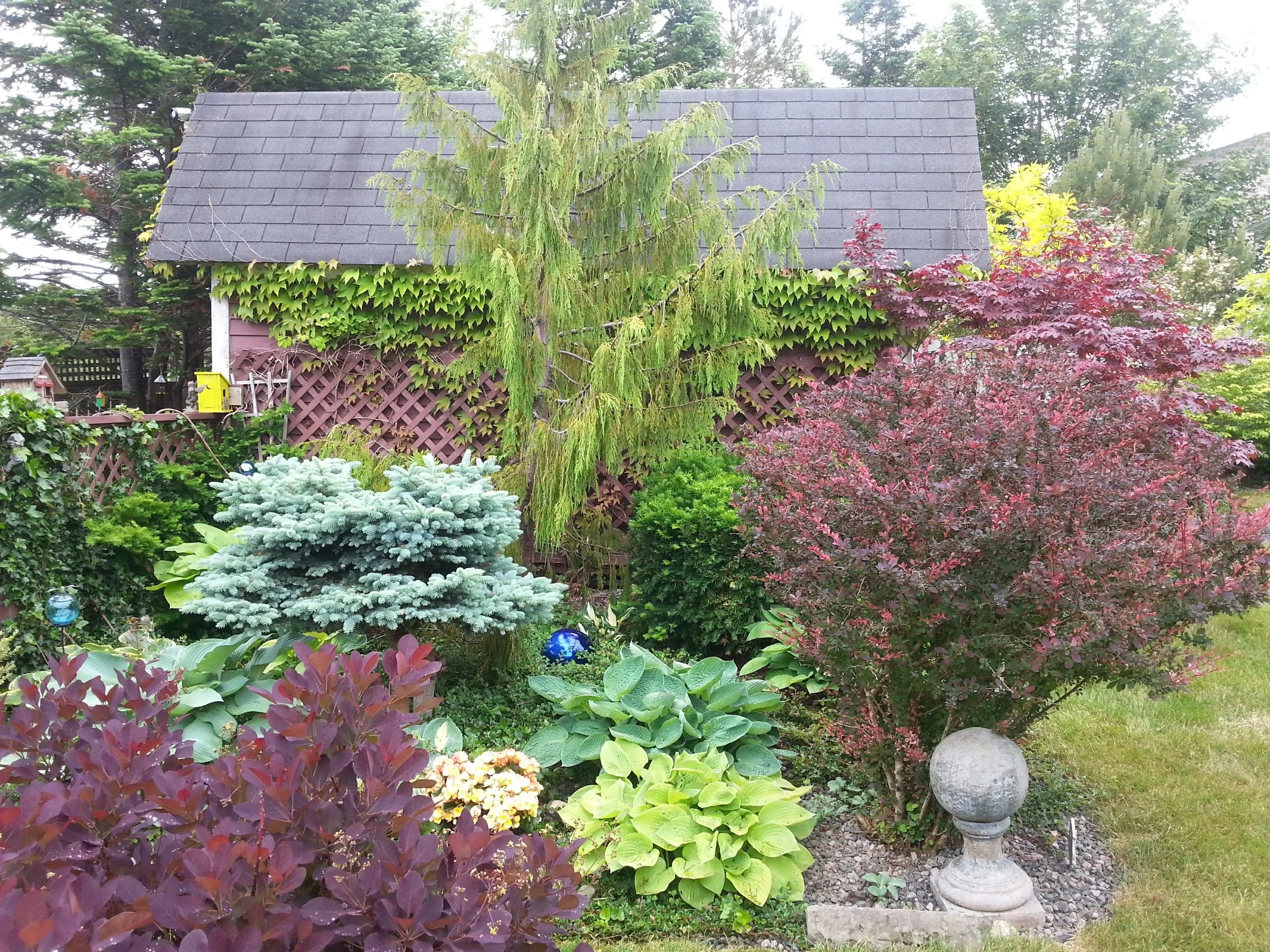 20180714_110339.jpg