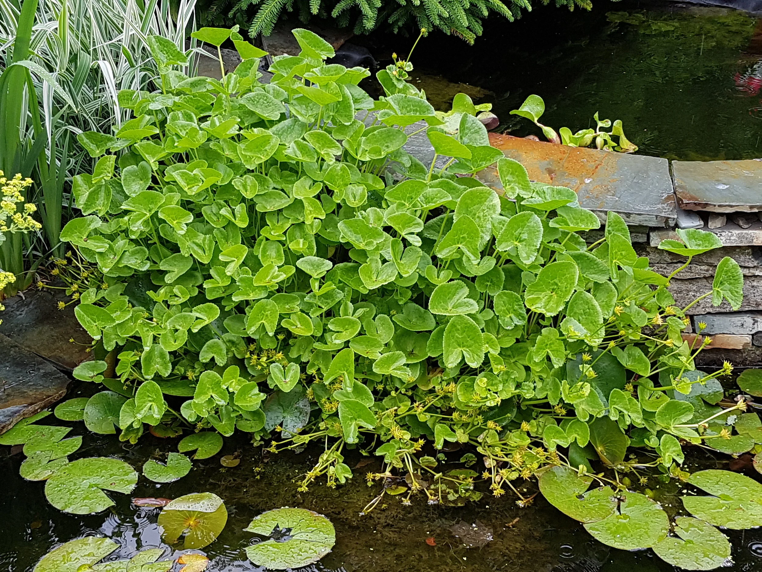 20180714_132318.jpg