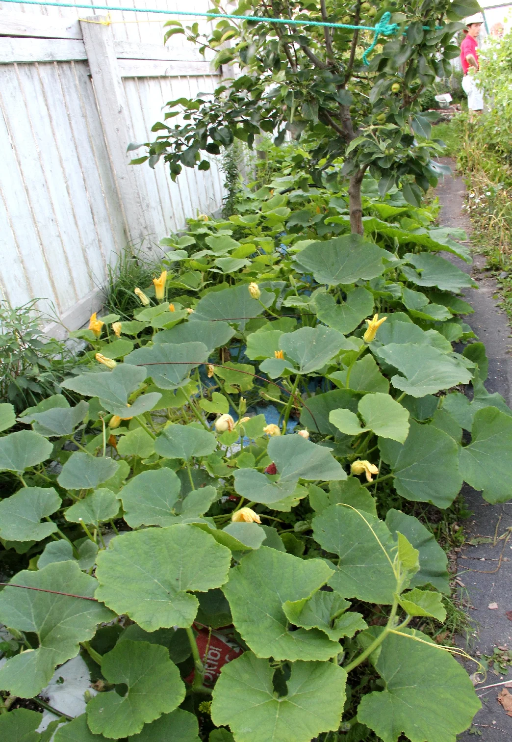 CIG_IMG007.jpg