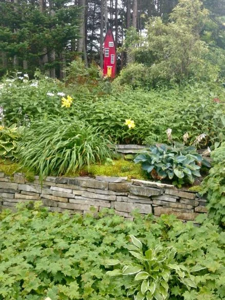 Cathy & Rob's garden.JPG