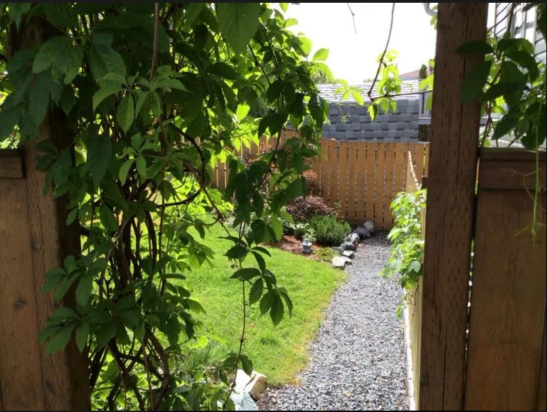Diane & Ed's garden (8).JPG