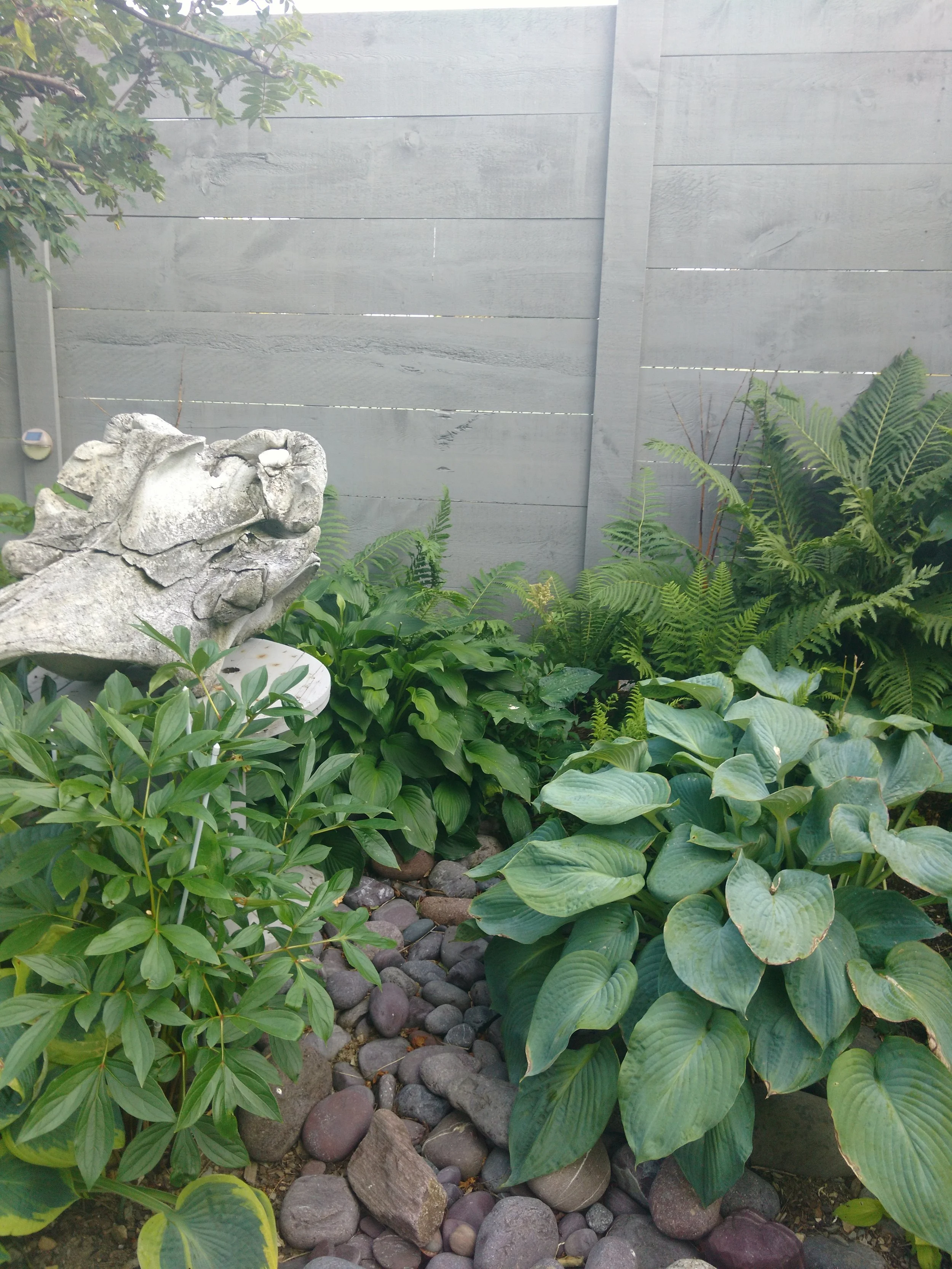 Juanita's garden  (5).jpg
