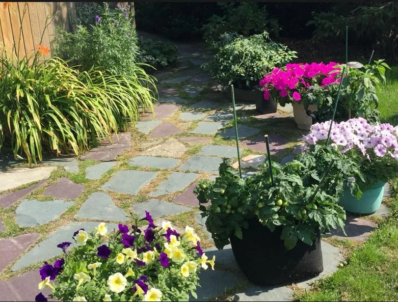 Lori's garden1.JPG
