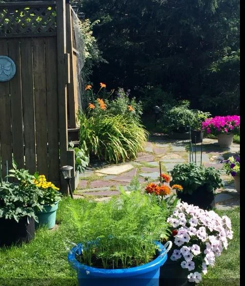 Lori's garden2.JPG
