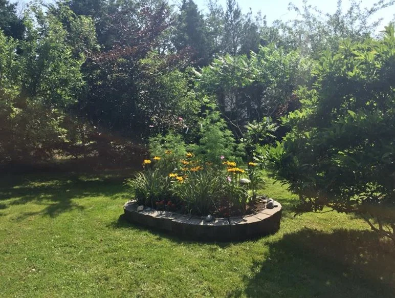 Lori's garden3.JPG