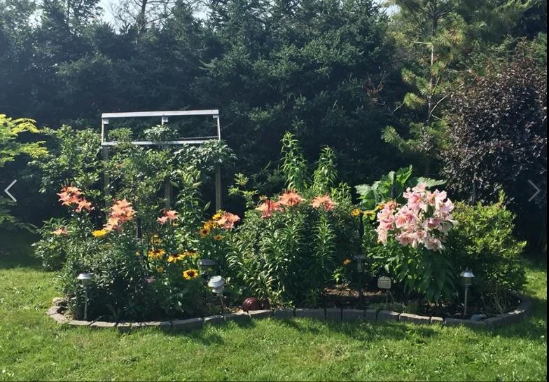 Lori's garden6.JPG