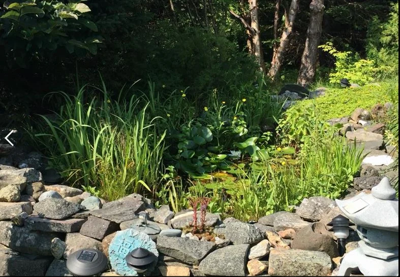 Lori's garden8.JPG