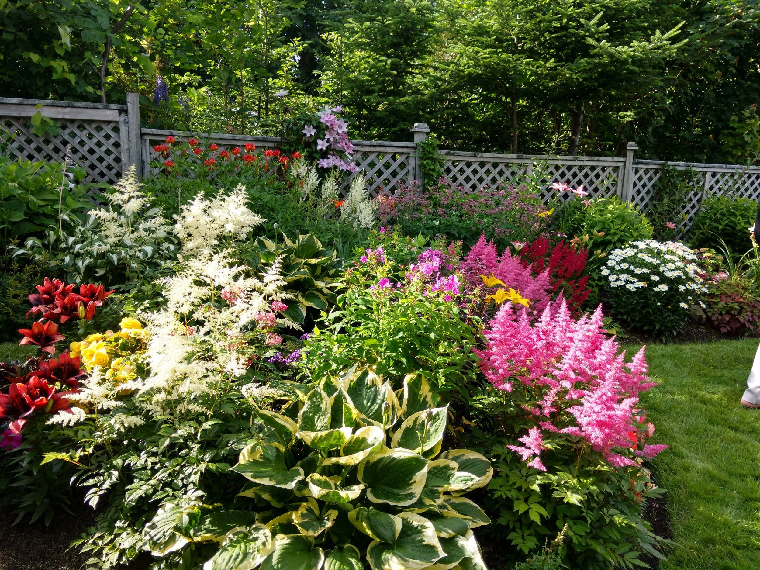 Jayshree & Vinod's garden (13).jpg