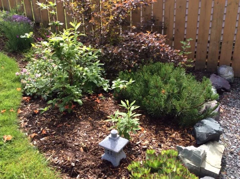 Diane & Ed's garden (7).JPG