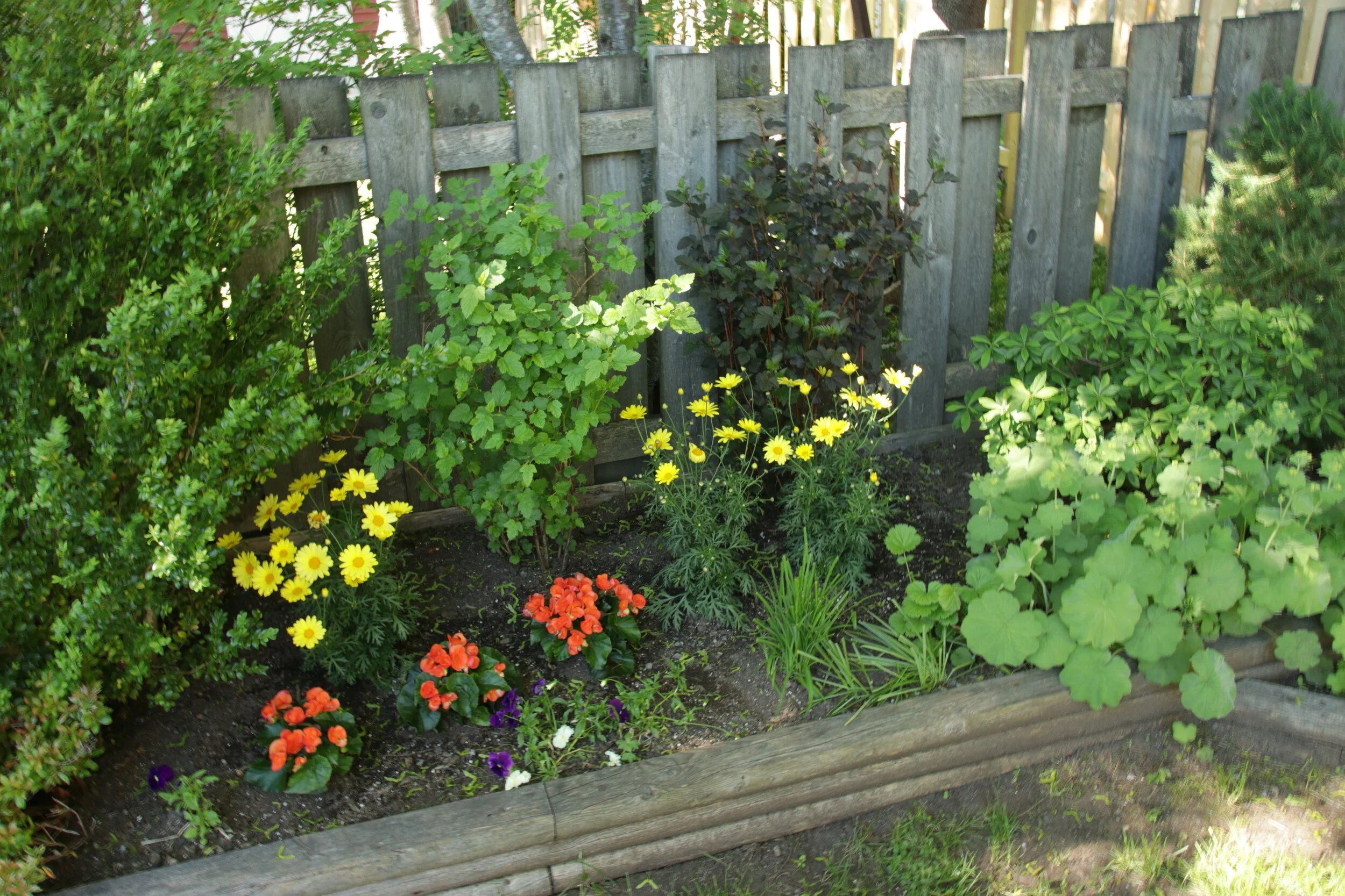 IMG_8565.JPG