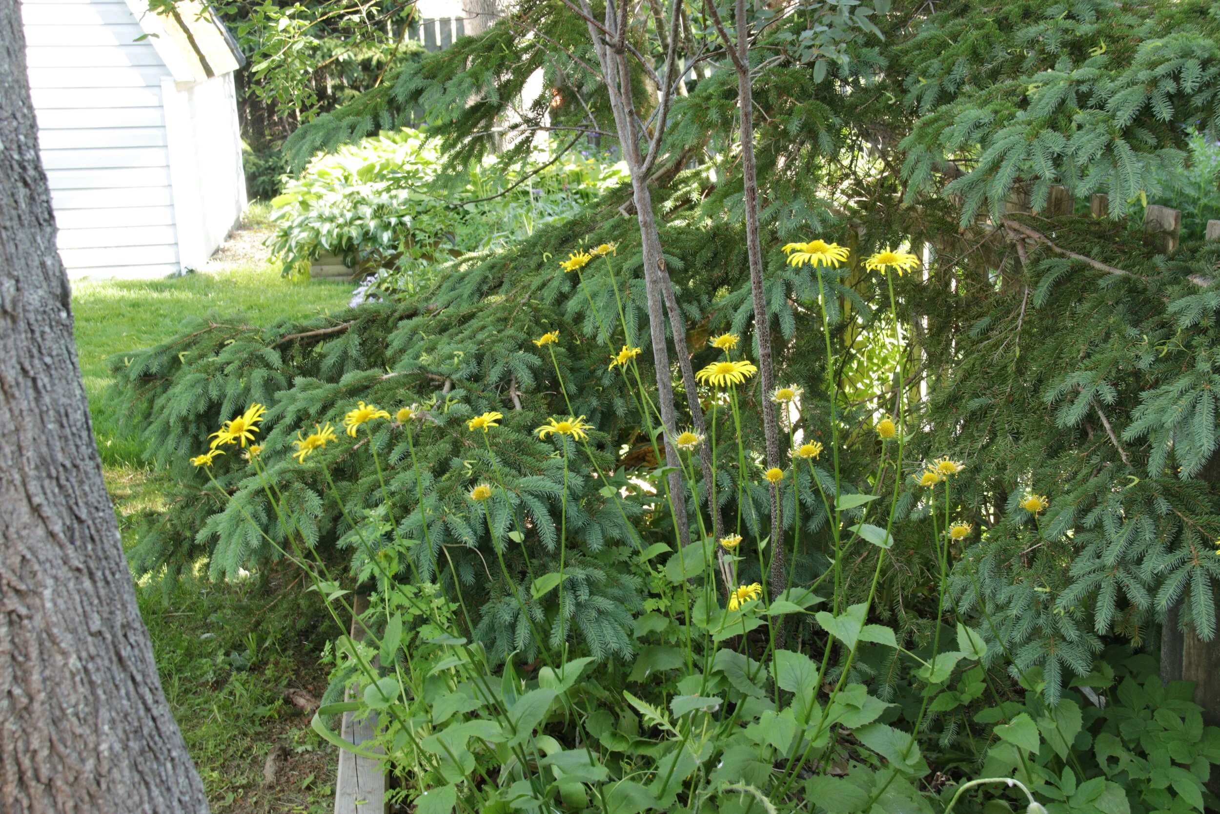 IMG_8600.JPG