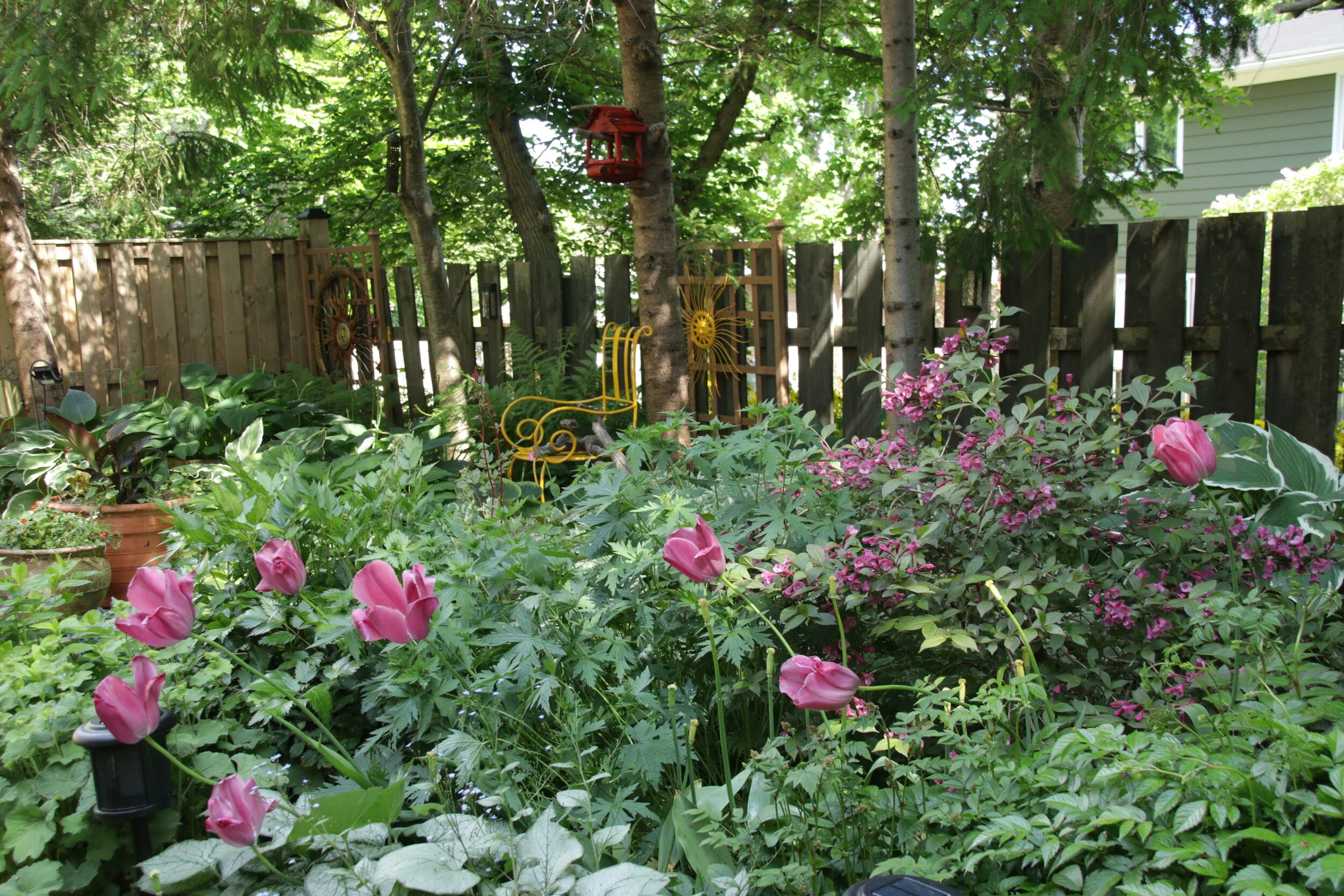 IMG_9407.JPG