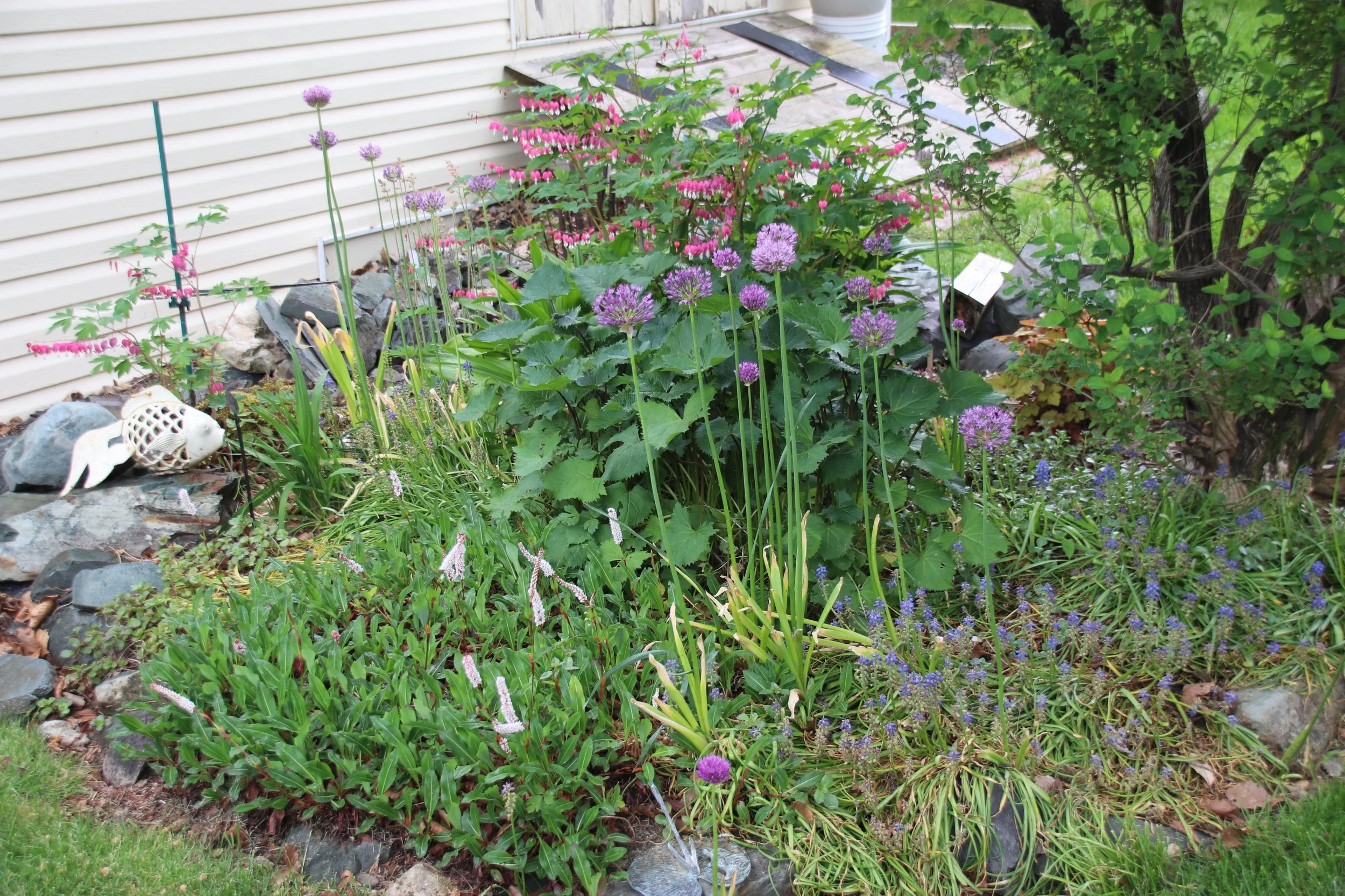IMG_0693.JPG