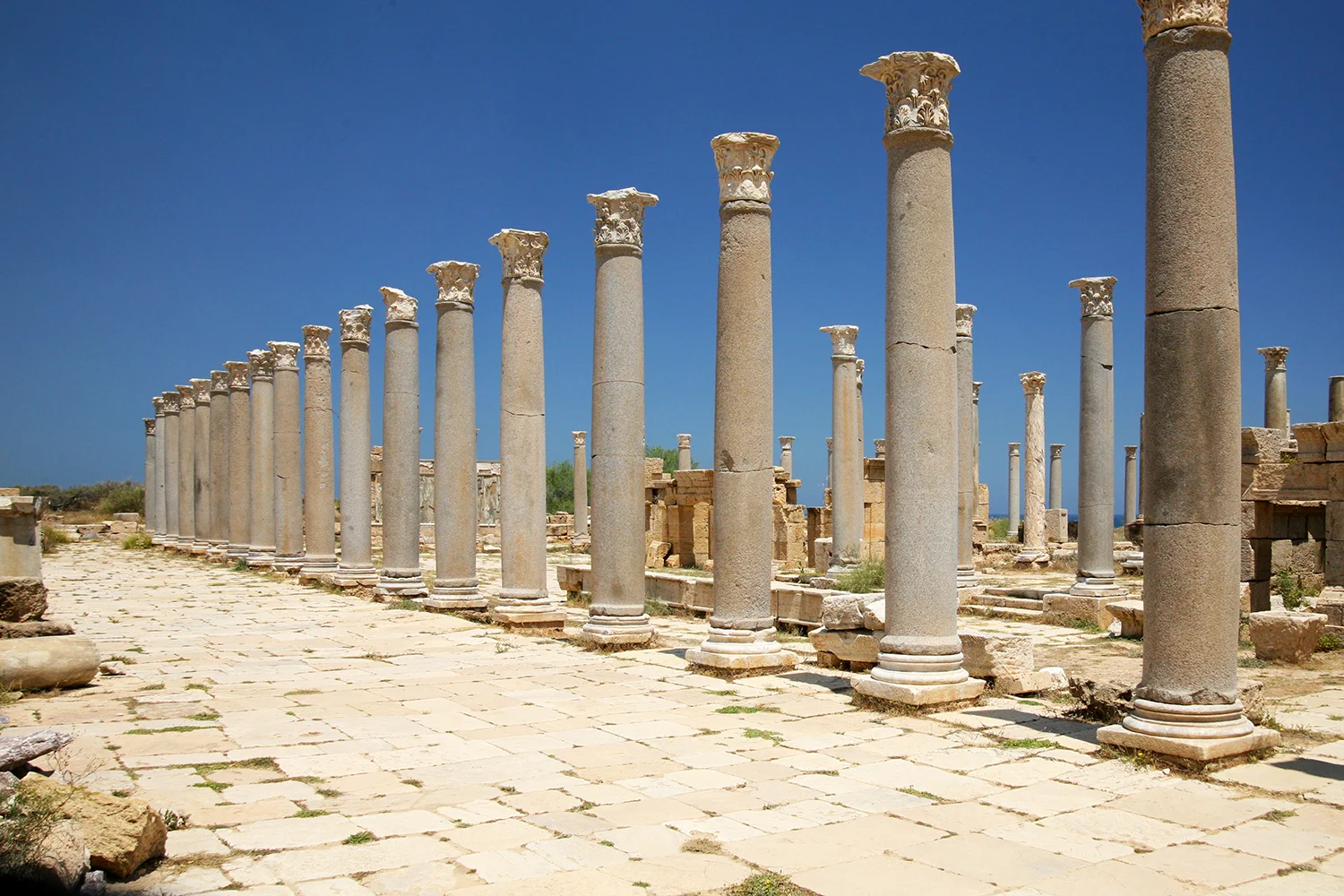 iStock-507580287.jpg
