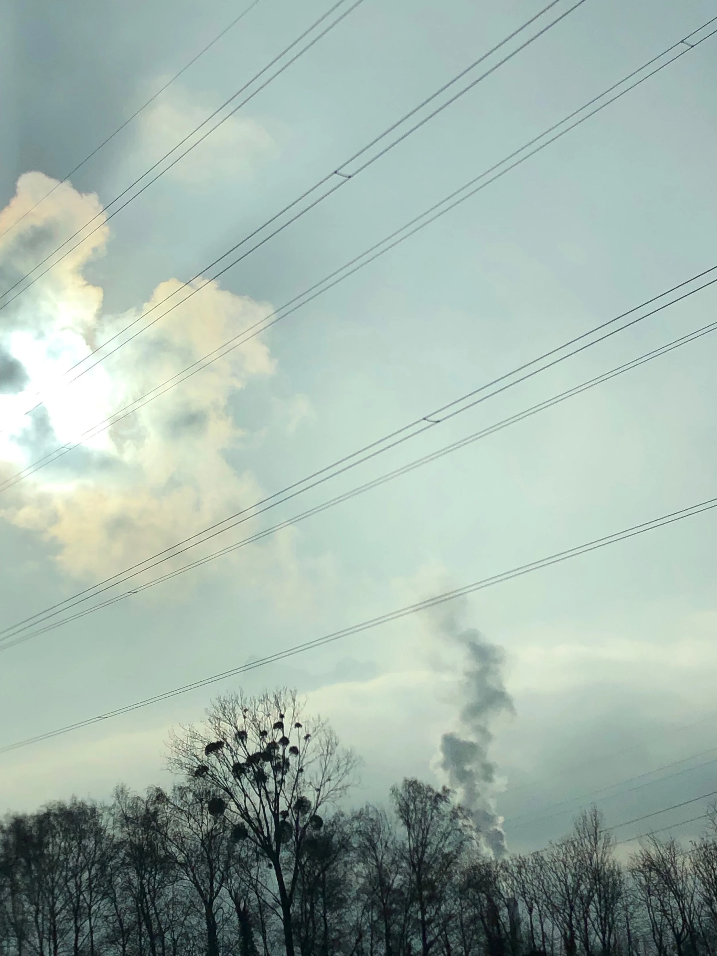 Date selection consultation