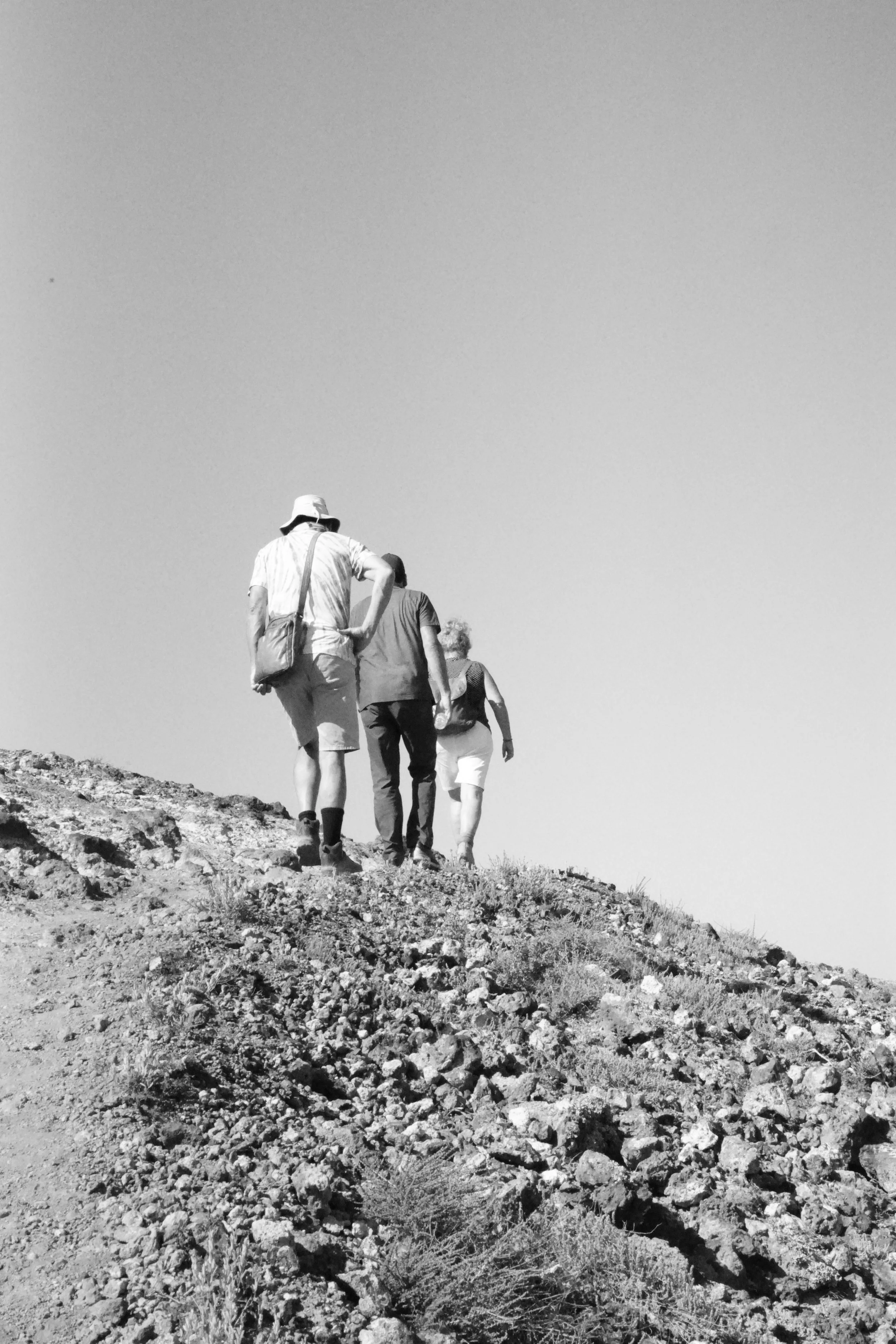 Family constellation analysis