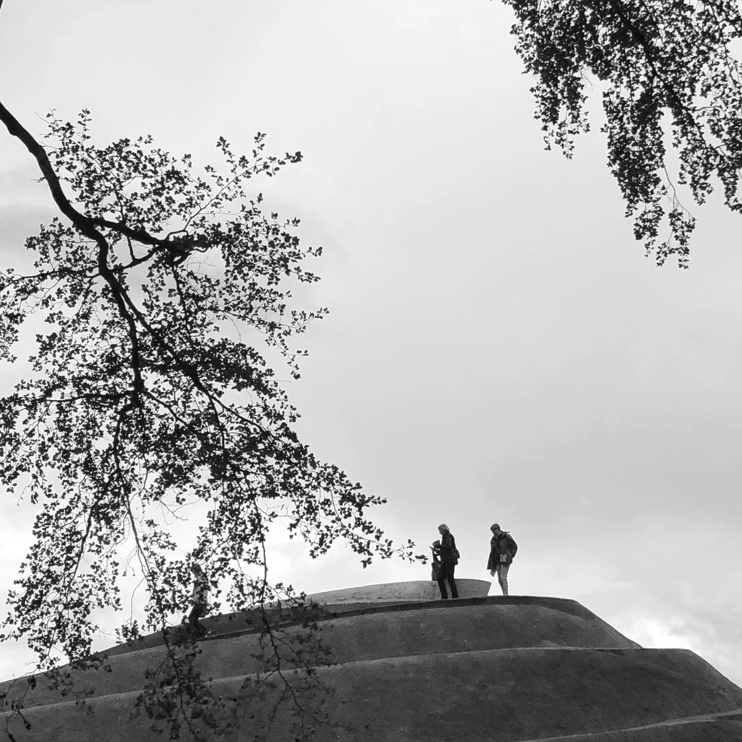 Personal relationship analysis