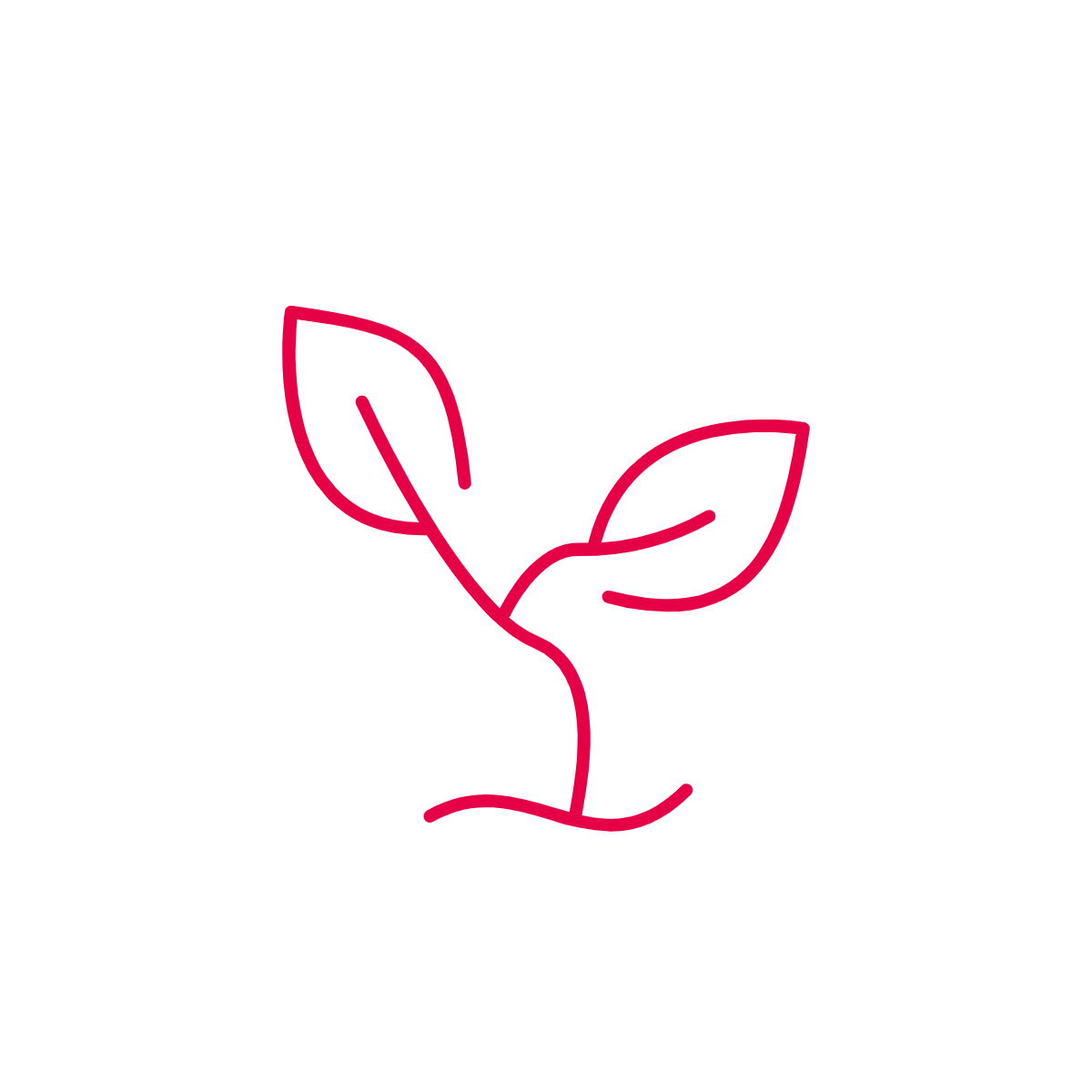 noun_Plant_2902364.png