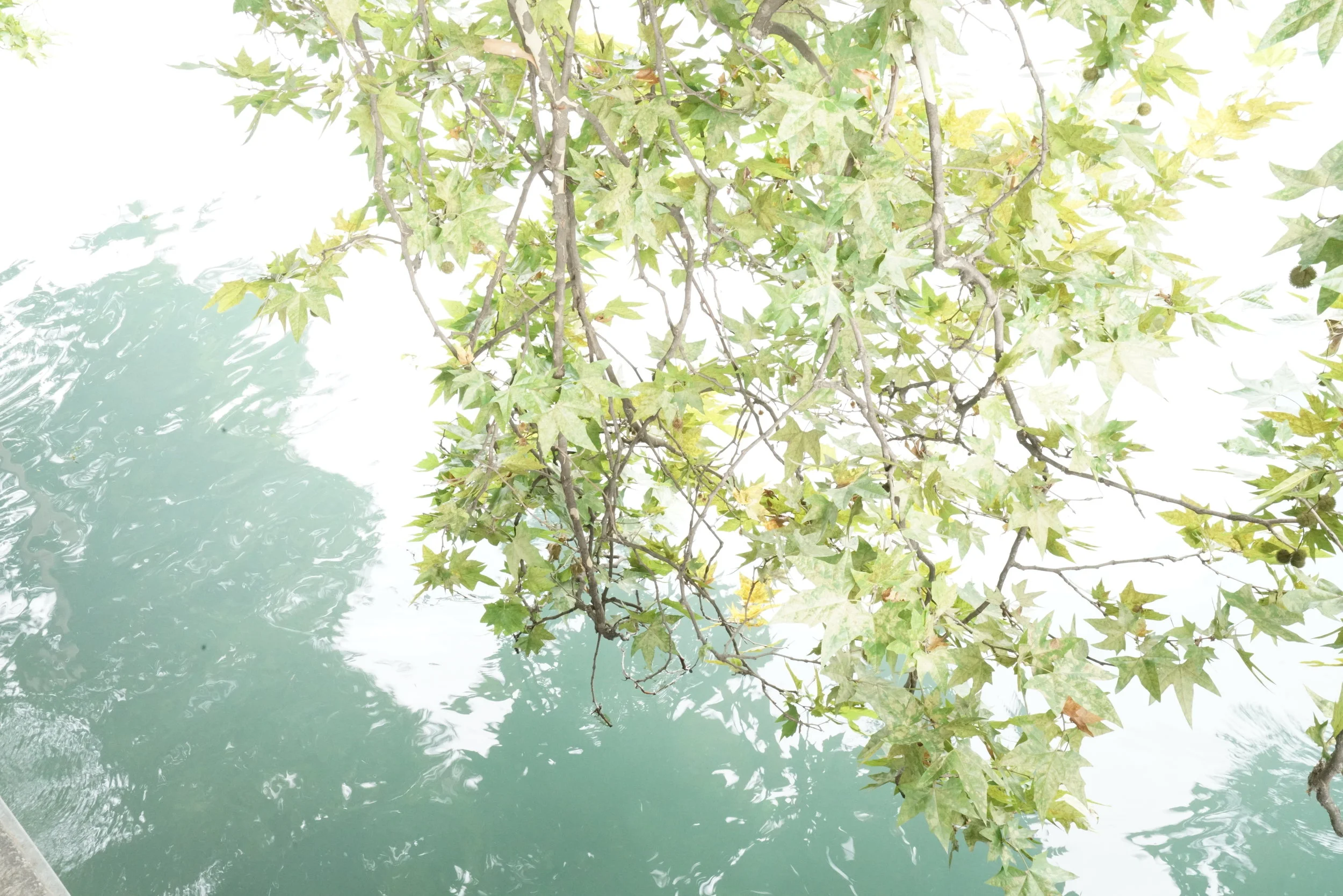 Free Qi (energy) flow in the body, mind and soul...