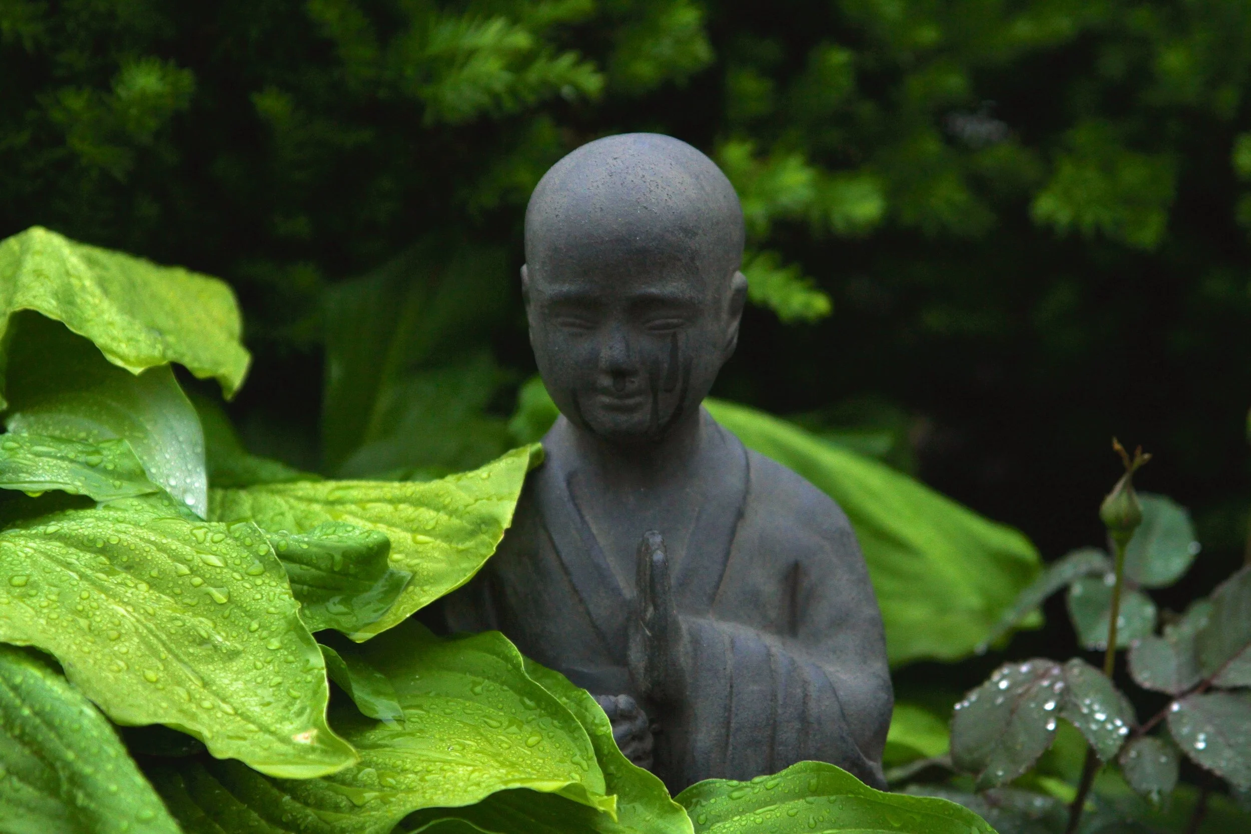 Make Your Own Meditation Garden In 10 Easy Steps