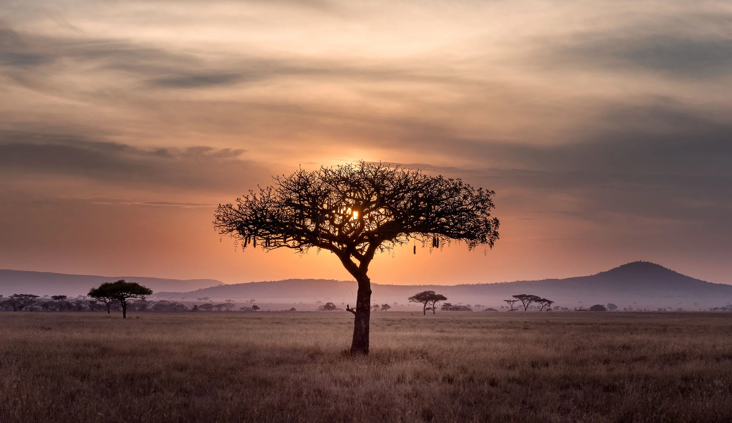 Testimonial of an activation timing!