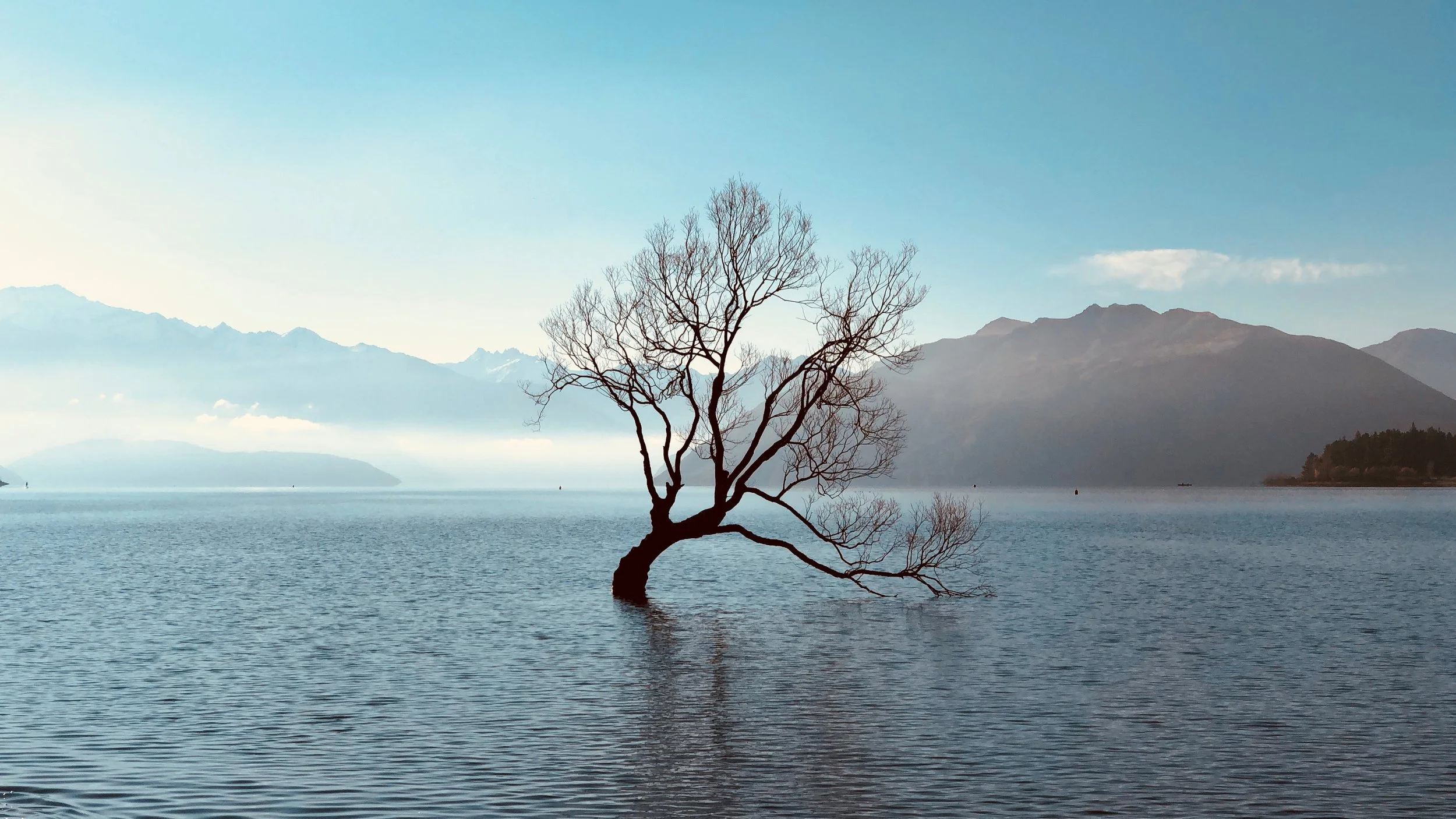 Best Energies for the month of December  2018