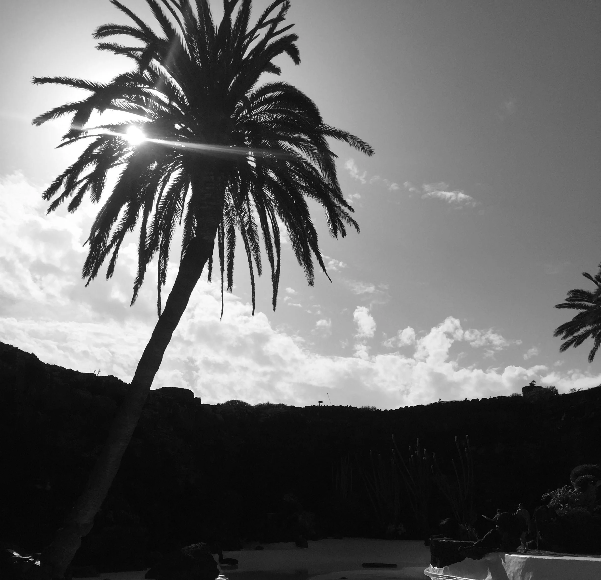 Earth Pig Year 2019!