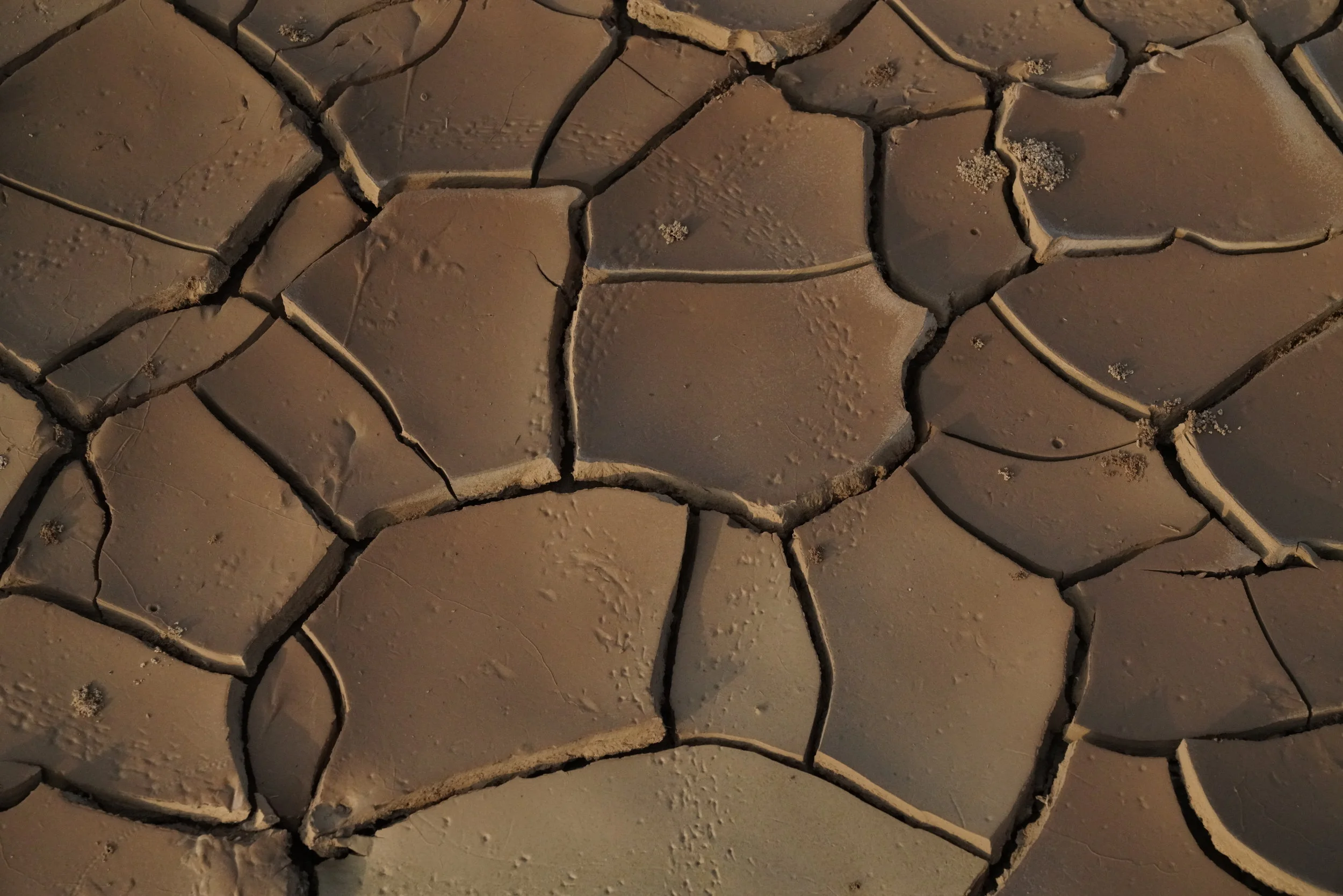 Feng Shui &amp; Activation 2019