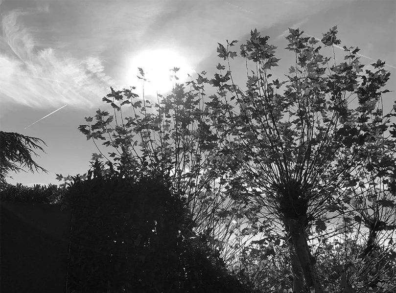 Auspicious energies for the month of February 2019!