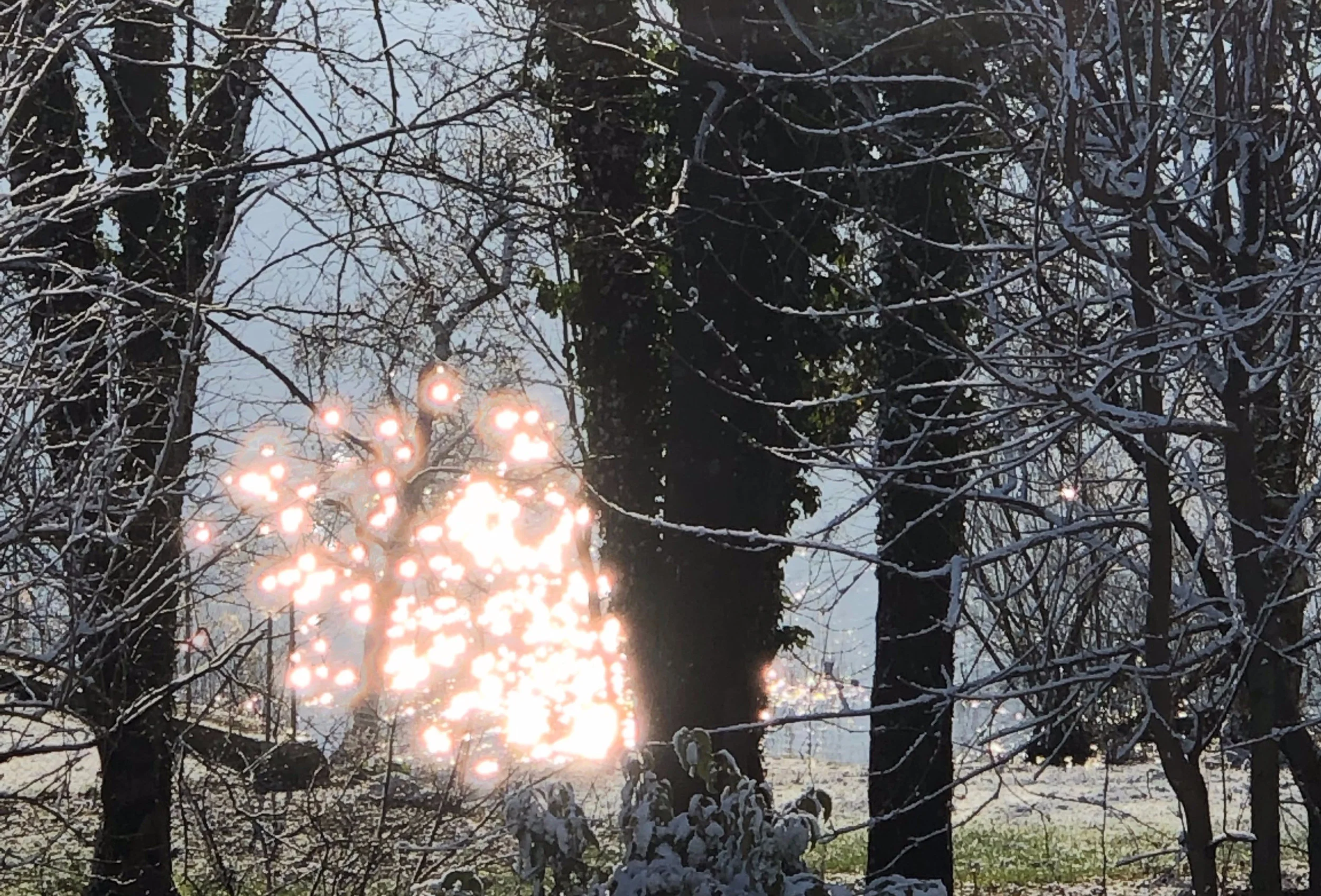 Auspicious energies for the month of March 2019!