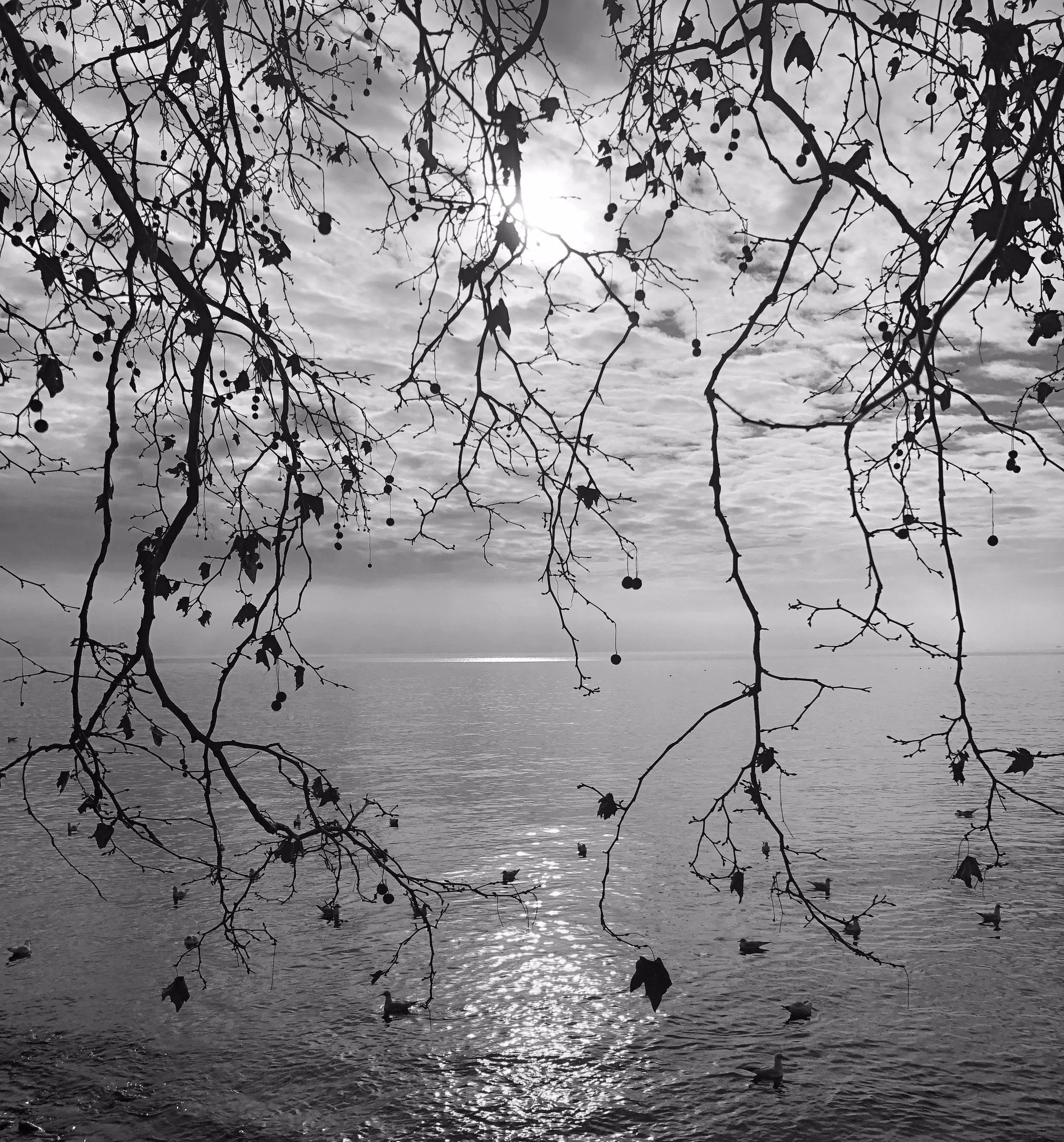 Reminder: Make a wish!