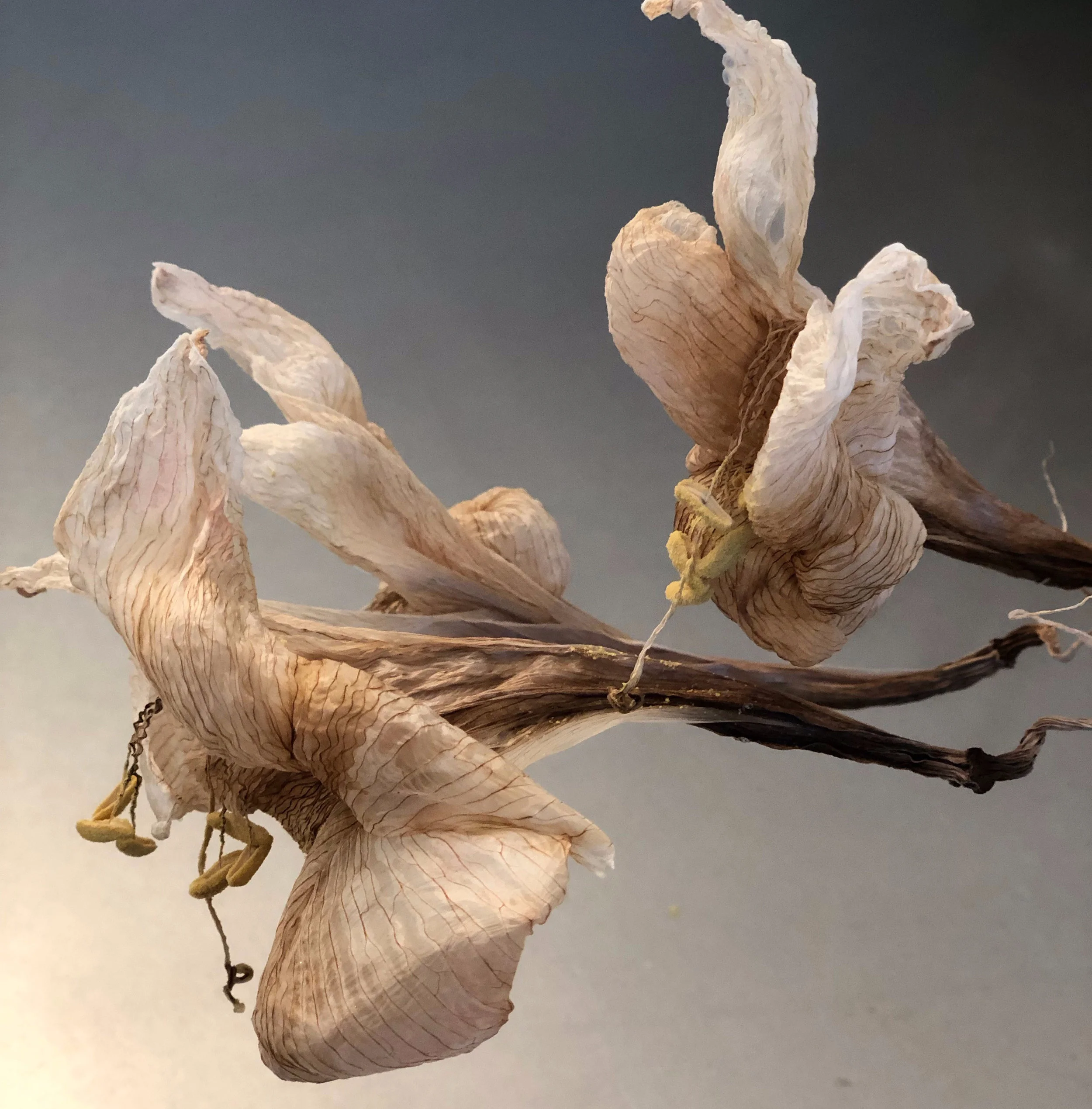 April 2019: Auspicious Directions and Timings!