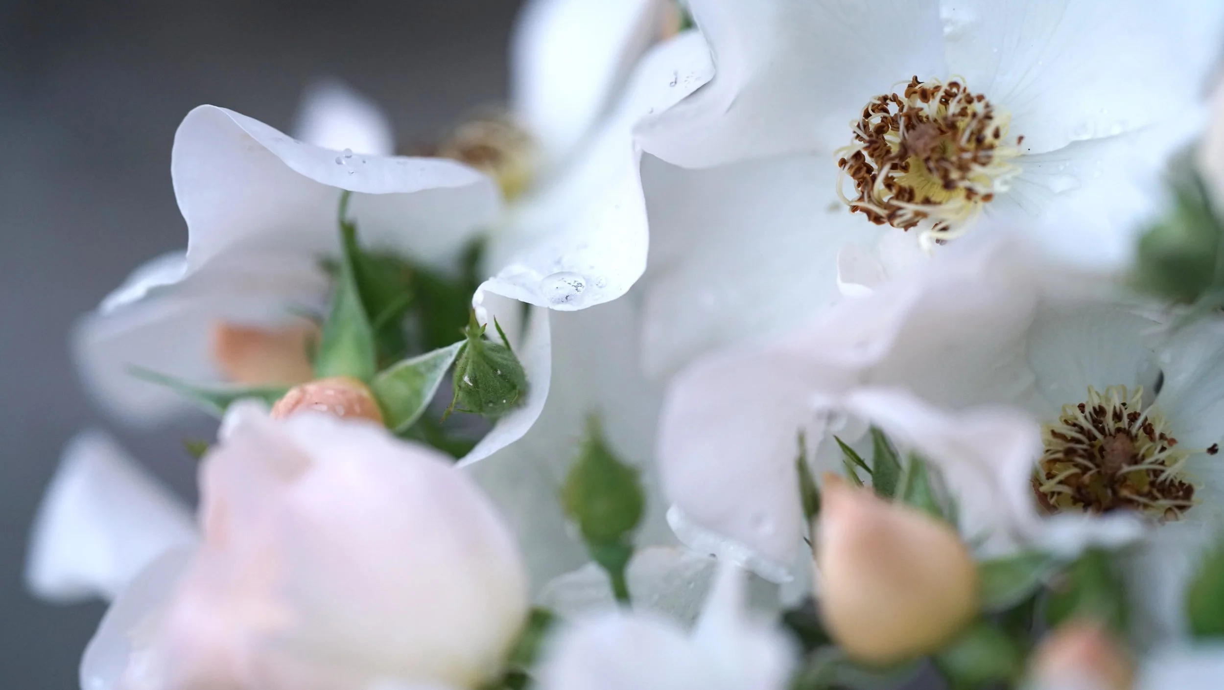 July 2019: auspicious monthly directions!