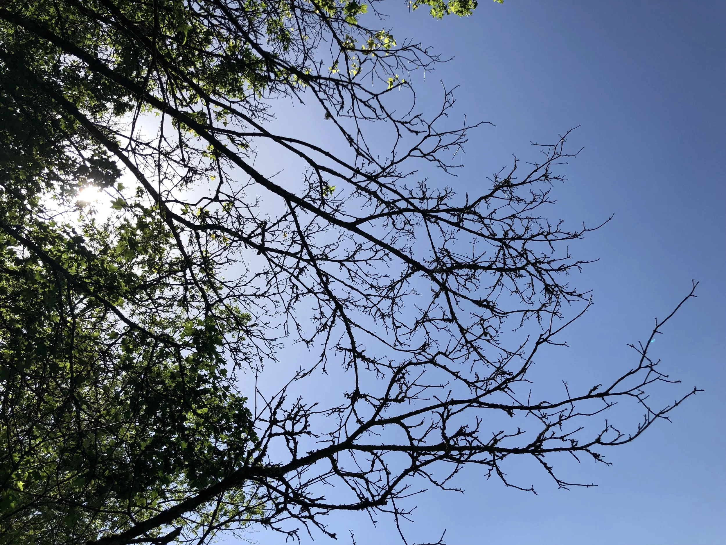 July 2019: Auspicious timings!