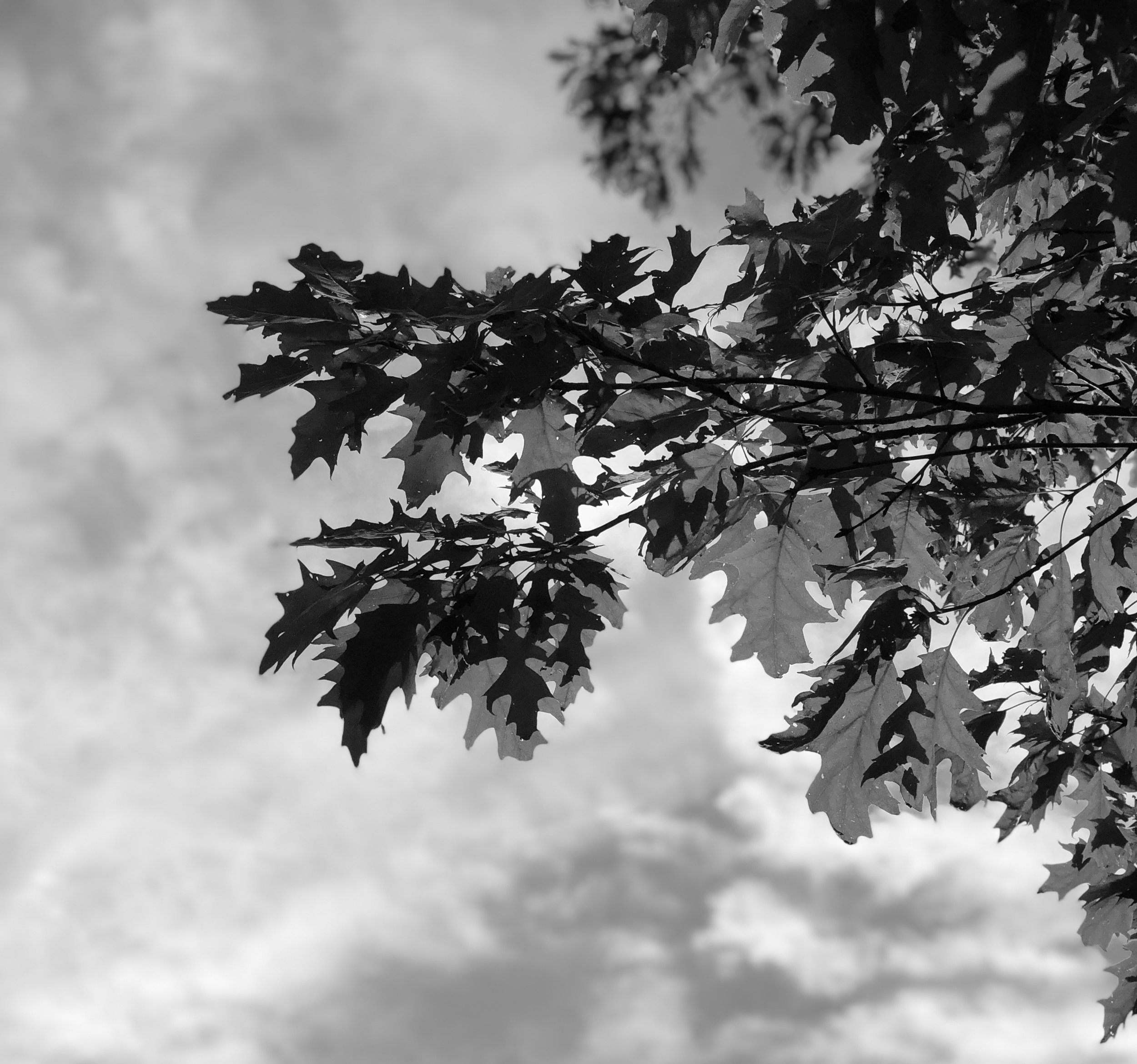 Personal Development Timing