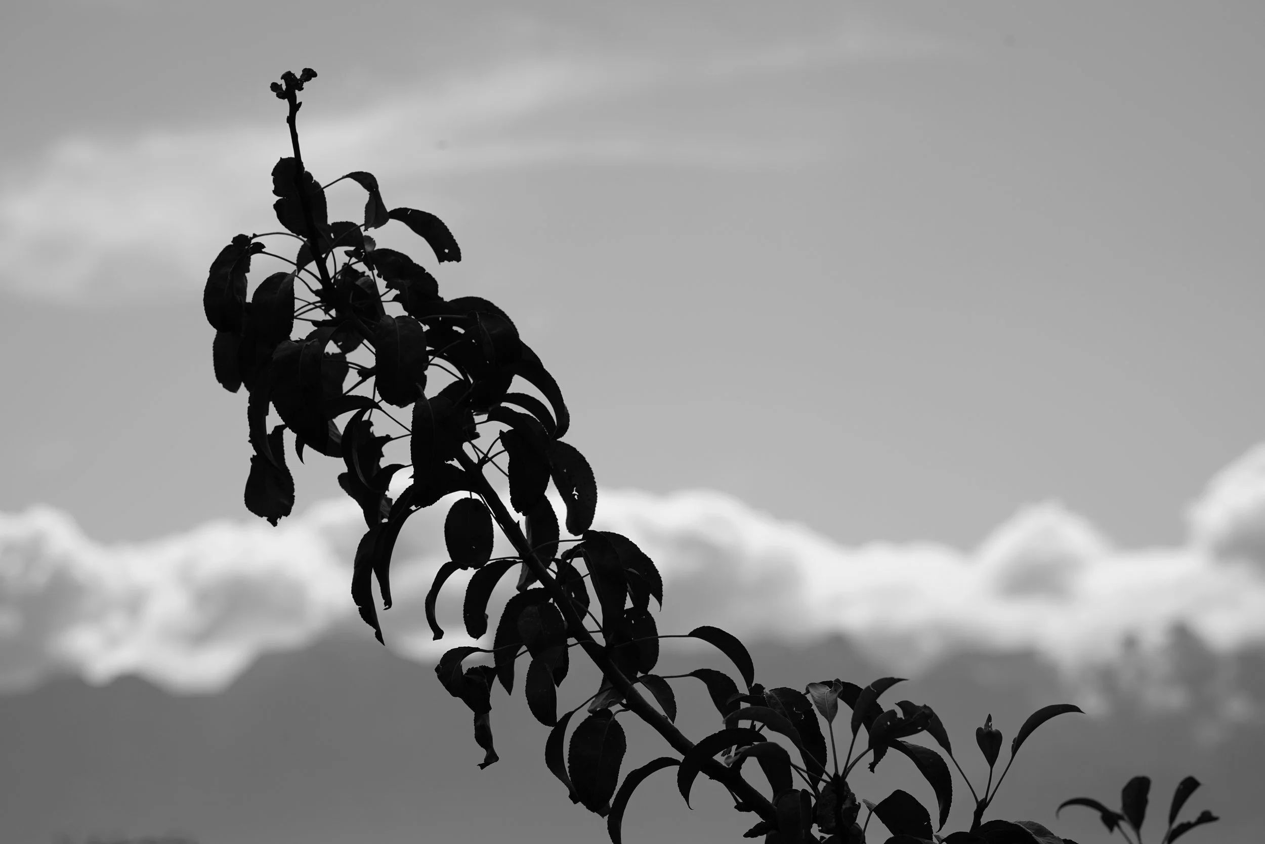 October 2019: Auspicious timings