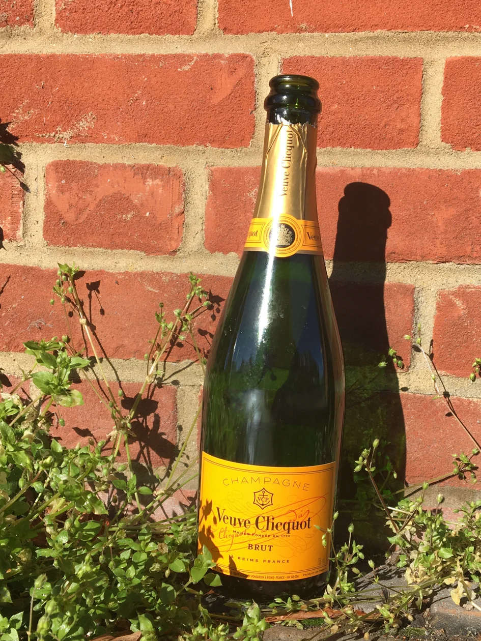 Jack Delmonte-160324.jpg