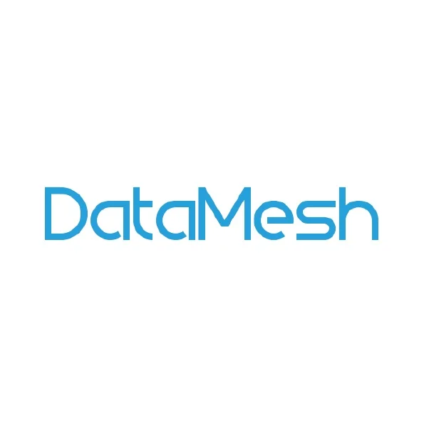 datamesh.jpg